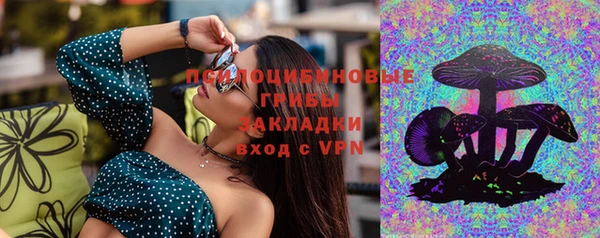 герыч Алексин