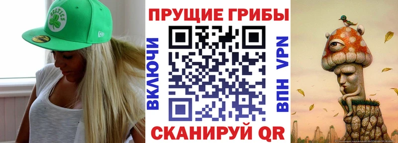 Псилоцибиновые грибы Magic Shrooms где купить наркоту Нерчинск